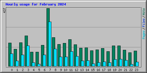 Hourly usage for February 2024