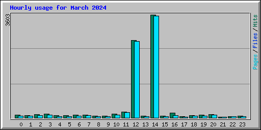 Hourly usage for March 2024