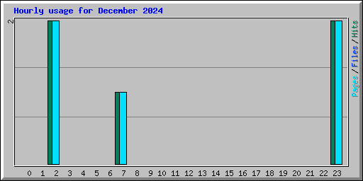 Hourly usage for December 2024